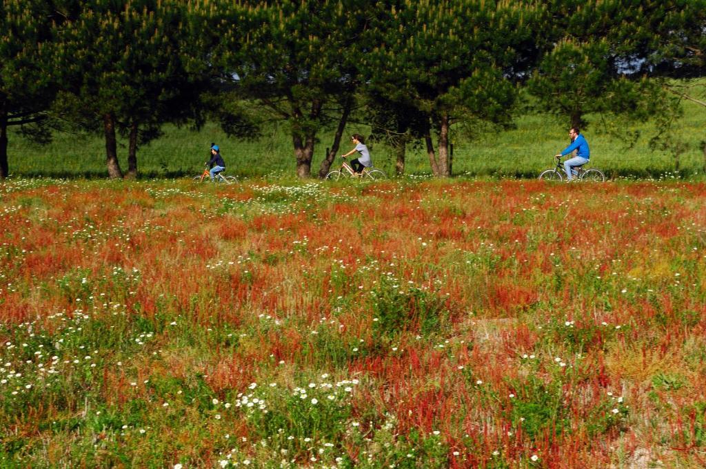 Monte Da Galrixa Villa Formia Dış mekan fotoğraf