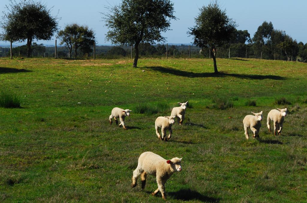 Monte Da Galrixa Villa Formia Dış mekan fotoğraf